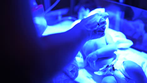 Krankenschwester-Füttert-Baby-Im-Inkubator