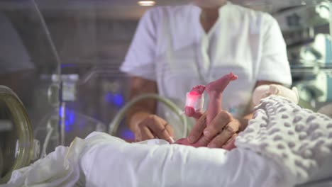 Nurse-gently-touching-fragile-newborn-in-neonatal-incubator