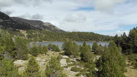 Lago-De-Montaña-Y-Bosque-Con-Abetos