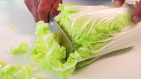 Chef-cutting-Chinese-cabbage-in-kitchen