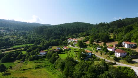 Atemberaubende-Luftaufnahmen-Von-Weinbergen-In-Der-Landschaft-Portugals-An-Einem-Sonnigen-Sommertag