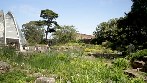 Pan-Left-Across-Garden-Landscape-At-Kew-To-Reveal-Davis-Alpine-House