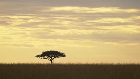 Hermoso-Paisaje-Africano-En-La-Reserva-Nacional-Masai-Mara-Con-Acacia-Al-Fondo,-Puesta-De-Sol-Keniana-Mientras-Se-Pone-El-Sol,-Paisaje-De-Safari-Africano-En-La-Conservación-Del-Norte-De-Masai-Mara