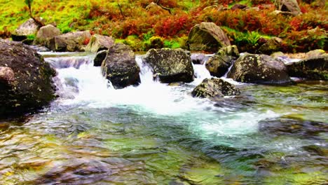 Ground-around-a-small-mountain-stream-is-covered-with-beautiful-orange-foliage