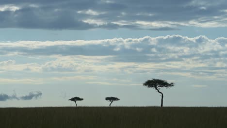 Amazing-African-landscape-in-Maasai-Mara-National-Reserve,-stormy-sky-with-clouds-rolling-in,-Acacia-trees-on-horizon-silhouetted-outline,-Kenya,-atmospheric-Africa-Safari-scenery