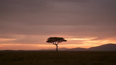 Hermoso-Paisaje-Puesta-De-Sol-Antes-Del-Anochecer-Con-Un-árbol-De-Acacia-Aislado-En-El-Horizonte-Naturaleza-Africana-En-La-Reserva-Nacional-De-Masai-Mara,-Kenia,-Paisaje-De-Safari-De-áfrica-En-La-Conservación-Del-Norte-De-Masai-Mara