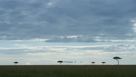 Increíble-Paisaje-Africano-En-La-Reserva-Nacional-De-Maasai-Mara,-Cielo-Tormentoso-Con-Nubes-Rodando,-árboles-De-Acacia-En-El-Contorno-De-La-Silueta-Del-Horizonte,-Kenia,-Paisaje-De-Safari-Africano-Atmosférico