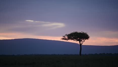 Wunderschöner-Landschaftssonnenuntergang-Vor-Einbruch-Der-Dunkelheit-Mit-Isoliertem-Akazienbaum-Am-Horizont.-Afrikanische-Natur-Im-Masai-Mara-Nationalreservat,-Kenia,-Afrika-Safarilandschaft-Im-Nordschutzgebiet-Der-Masai-Mara
