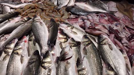 Fische-Verschiedener-Arten-Zum-Verkauf-Auf-Dem-Markt-Aus-Dem-Mittelmeer,-Wolfsbarsch,-Sardine,-Kabeljau,-Garnelen,-Tintenfisch,-Tintenfisch,-Tintenfisch