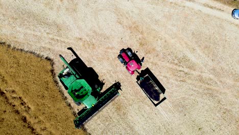 A-captivating,-slow-revolving-drone-shot-elegantly-captures-the-synergy-of-a-combine-harvester-and-tractor-as-they-work-harmoniously-in-the-agricultural-field