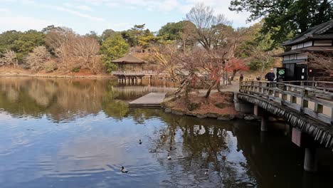 Herbst-In-Nara-Blick-Auf-Den-Ukimodo-Pavillon-Am-Takabatakecho-Teich-In-Japan