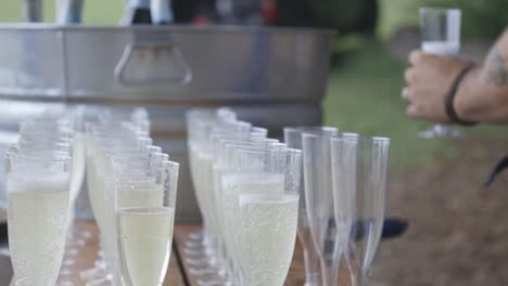 Fancy-Glasses-of-Champagne-At-Wedding