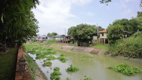 Vista-Cercana-De-Las-Hojas-De-Jacinto-De-Agua-Balanceándose-En-La-Superficie-De-Un-Canal-Tailandés