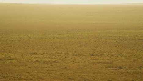 Cámara-Lenta-De-Toma-Aérea-De-Un-Pájaro-Volando-Sobre-El-Hermoso-Paisaje-De-Masai-Mara-En-La-Brumosa-Vista-Del-Amanecer-Naranja-Desde-Arriba-En-Un-Vuelo-En-Globo-Aerostático-De-Kenia,-Increíble-Niebla-De-Sabana-En-Masai-Mara