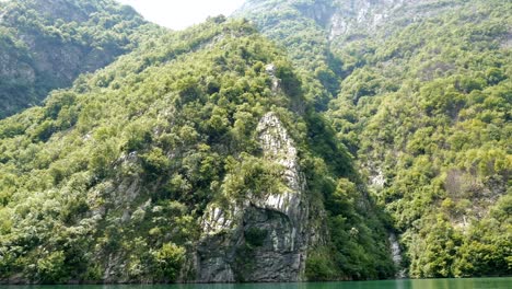 Albania,-Lake-Koman,-view-from-the-ferry-of-a-rock-covered-in-trees