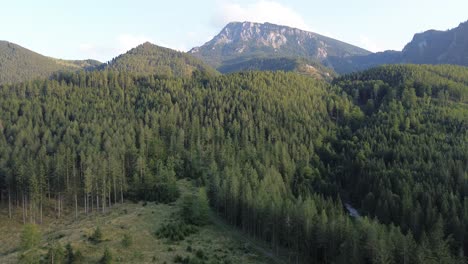Bosque-Negro-De-La-Baja-Austria-Cerca-De-Semmering-Filmado-Con-Drones-Desde-Arriba-En-4k-Durante-El-Día-De-Verano