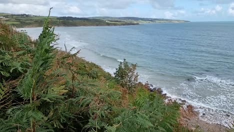 Looking-across-windy-fern-covered-hillside-to-sunny-Lligwy-beach-Welsh-bay-coastline