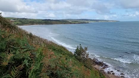 Looking-across-fern-covered-hillside-to-sunny-Lligwy-beach-Welsh-bay-coastline