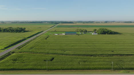 Das-Luftpanorama-Erfasst-Weitläufige-Ländliche-Maisfelder-Bei-Tageslicht