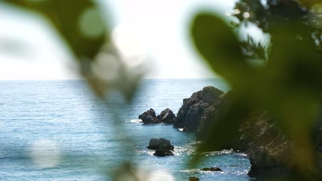 View-from-behind-tree-leaves-to-rocks-and-cliffs-on-the-Adriatic-Sea