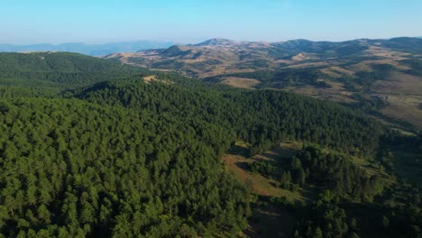 Pine-tree-forest-on-mountain-range-with-beautiful-hills-and-green-meadows,-nature-background-of-travel-destinations-and-wild-landscape-in-Albania,-aerial-drone