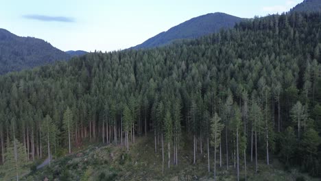Bosque-Negro-De-La-Baja-Austria-Cerca-De-Semmering-Filmado-Con-Drones-Desde-Arriba-En-4k-Durante-El-Día-De-Verano
