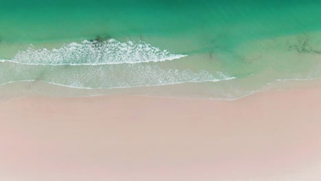 Luftaufnahme-Aus-Der-Vogelperspektive-Von-Türkisblauen-Meereswellen,-Die-über-Einen-Unberührten-Weißen-Sandstrand-In-Whitsunday,-Australien,-Spülen
