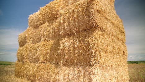 Close-Up-of-Square-Hay-Bales-Used-For-Cattle-Feed-In-The-Farmland
