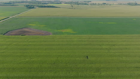 Panorama-Aéreo-De-Campos-Agrícolas-Completamente-Desarrollados-Y-Listos-Para-La-Cosecha