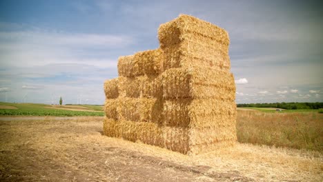 Square-Hay-Bales-Stacked-In-The-Field-After-Harvest-On-A-Sunny-Day