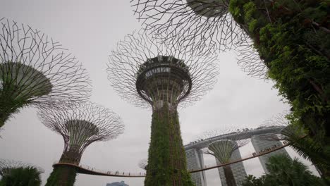 Experience-the-awe-inspiring-Garden-by-the-Bay's-towering-Super-Trees
