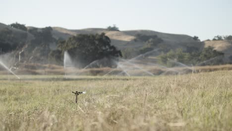 Farming-field-covered-in-overhead-sprinklers