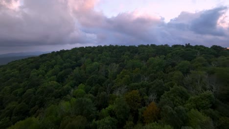treetop-fast-aerial-push-in-with-clouds-at-sunset