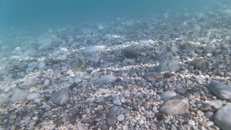 Underwater-filming,-snorkeling-and-diving-on-beautiful-seabed-with-white-pebbles-near-beach-of-Drymades-in-Albania