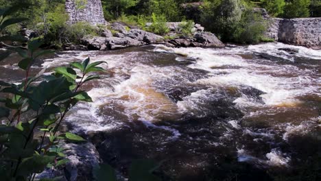 Establishing-shot-of-Royal-River-falls-nearing-mouth-of-river-with-white-water-and-trees