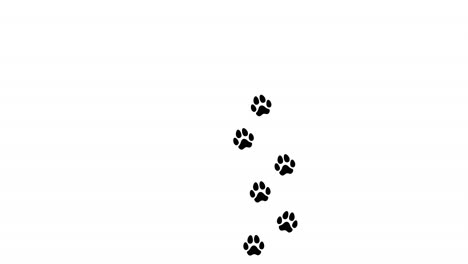Animation:-Eine-Spur-Aus-Schwarzen-Fußabdrücken-Auf-Weißem-Hintergrund,-Ein-Hund-Geht-Allein-Auf-Einem-Pfad-Von-Unten-Nach-Oben,-Vertikale-Ausrichtung