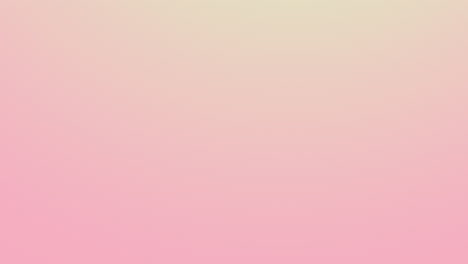 A-peachy-pastel-backdrop-of-slowly-rotating-shades-