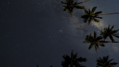 Milky-Way-Galaxy-vertical-timelapse,-framed-by-palm-trees-Isle-of-Pines