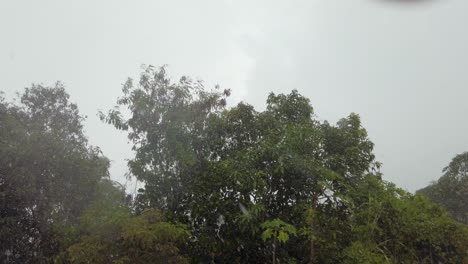 Cinematic-footage-capturing-a-tropical-climate-during-the-daytime-with-rainfall