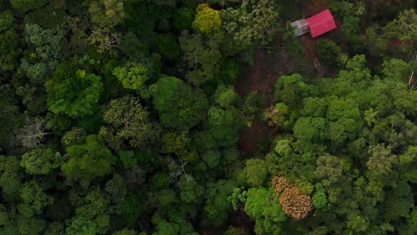 Flying-over-the-treetops-of-the-jungle,-in-the-Ecuadorian-Amazon