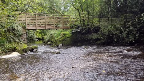 Rural-freshwater-stream-flowing-under-wooden-bridge-in-woodland-forest-wilderness