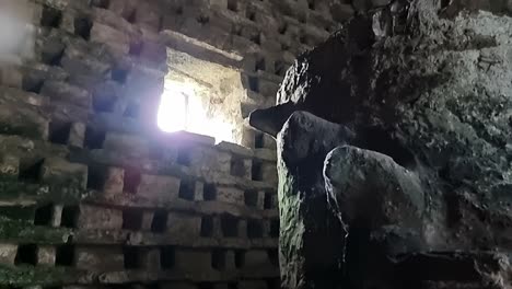 Inside-ancient-Penmon-priory-dovecot-with-stone-wall-nesting-box-looking-up-at-window-light