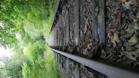 VERTICAL-Disused-abandoned-railroad-track-in-dense-woodland-foliage,-low-rising-shot