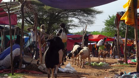 Scene-In-The-Rural-Village-Market-With-Indigenous-People-In-The-Omo-Valley,-Ethiopia