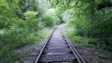 Old-rusty-abandoned-railroad-tracks-vanishing-through-dense-overgrown-woodland-forest-trees