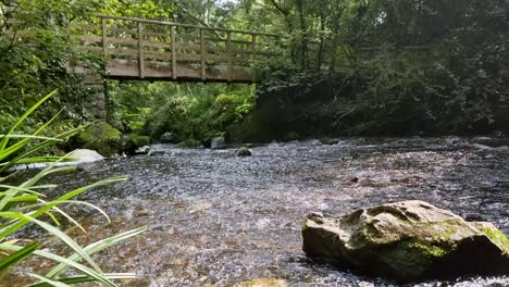 Picturesque-freshwater-stream-flowing-under-wooden-bridge-in-woodland-forest-nature-reserve