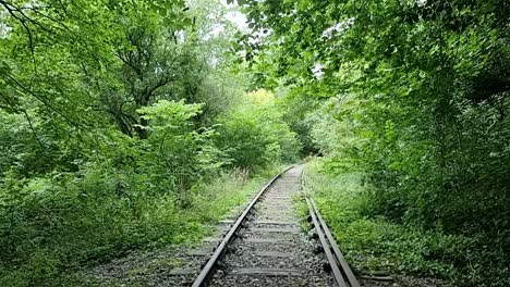 Old-rusty-abandoned-railroad-tracks-leading-through-dense-overgrown-woodland-forest-trees