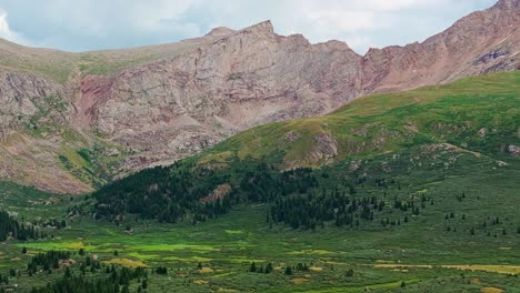 Lush-green-and-yellow-valley-floor-with-vegetation-and-pine-trees-with-exposed-rocky-cliffs,-guanella-pass-colorado,-aerial-establish