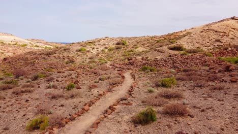 Majestic-pathway-through-Acro-de-Tajao-in-Tenerife-island,-dolly-backward-view