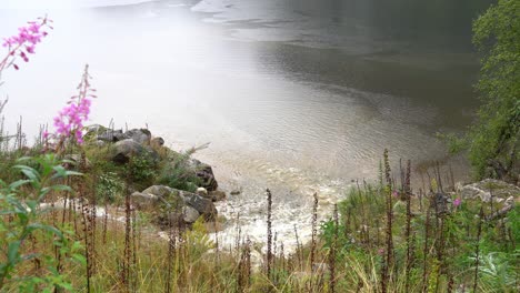 Fluss-Färbt-Das-Meer-Bei-Starkem-Regen-Und-Überschwemmungen-Braun-–-Statischer-Clip-Mit-Vegetation-Im-Vordergrund-Und-Meer-Im-Hintergrund